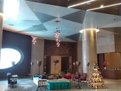 -南京禄口机场雅高铂尔曼大酒店