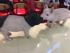-猪角·闽南猪脚饭(上梅林店)