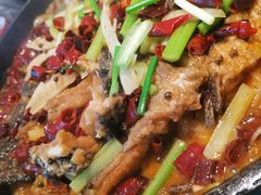 -老板恋上鱼(印象城店)