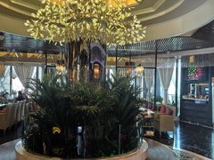 -润园四季椰子鸡火锅(海上世界店)