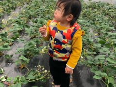 -宁波九龙湖开元度假村