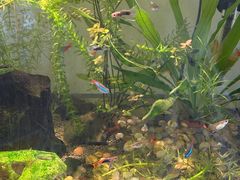 -西湖文化广场