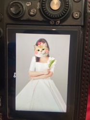 -青禾蒙娜丽莎婚纱摄影(武汉总店)