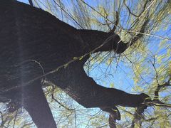 -大玩家(通州万达广场店)