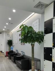 -悟空祛痘·诺奖技术专业店