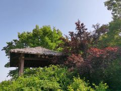 -宝界山林公园