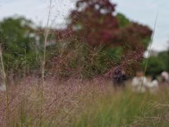 -艾溪湖湿地公园