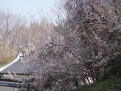 -南京市江宁方山
