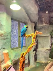 -Zoolung Zoolung动物主题公园(海信广场店)