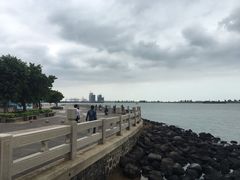 -万绿园