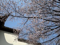 -江宁织造博物馆