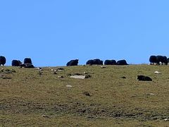 -灵山