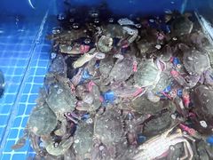 -宾朋海鲜饭庄(兴海路店)