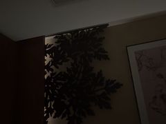 -新紫霞养生·影院足道·SPA(金山区店)