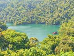 -鼎湖山风景区