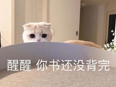 -新航道雅思托福·留学·考研培训(人民广场校区)