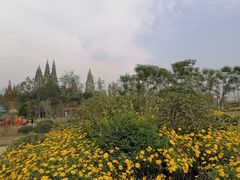 -夏河溪乡野公园