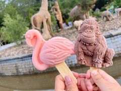 -郑州市动物园