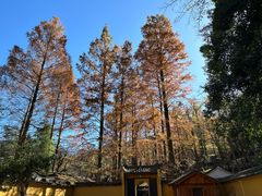 -九华山风景区月身宝殿