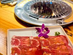 -喜来稀肉(北外滩白玉兰广场店)