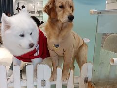 -怪兽屋·羊驼·猫咖·狗咖(俊华广场店)