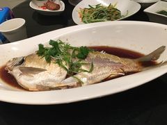 清蒸武昌鱼-亢龙太子酒轩(东湖店)