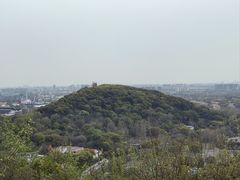 -上海佘山国家森林公园西佘山园