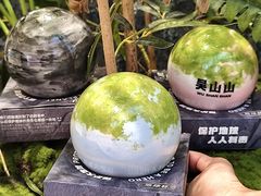 -吴山山·椰子酸奶(天河南店)