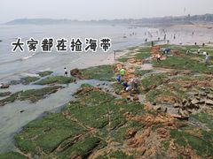 -青岛第三海水浴场