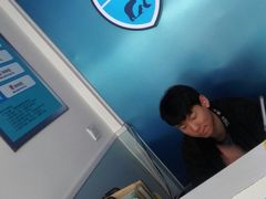 -中农大我爱我爱24h动物医院·中医针灸·猫专科·骨科医疗中心(双井店)