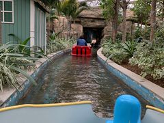 -南宫五洲植物乐园