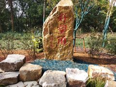 -上海市保健医疗中心(华东疗养院)