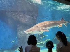 -多彩贵州城极地海洋世界