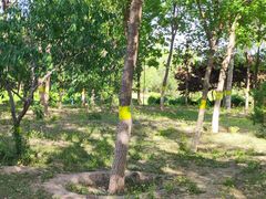 -永定河休闲森林公园