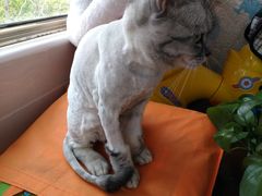 -美联众合动物医院·24h京西诊疗中心