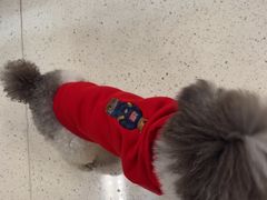 -帕帕拉兹宠物(亚洲旗舰店)