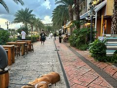 -美国村