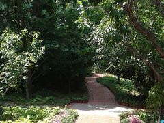 -天鹅湖生态旅游风景区