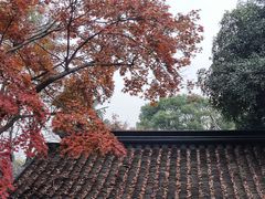 -惠山古镇·寄畅园