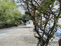 -玛利娅蒙特梭利双语幼儿园·托育(百家湖直营园)