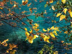 -叠溪松坪沟景区