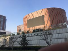 -中国宋庆龄青少年科技文化交流中心