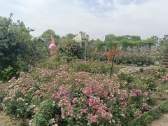 -祥源·阜阳生态乐园