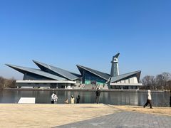 -盐城丹顶鹤湿地生态旅游区
