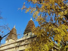 -北京石刻艺术博物馆(五塔寺)