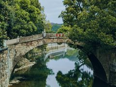 -尚田草莓姑娘白草莓采摘基地