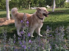 -永定河休闲森林公园