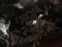 -汤乐汇•足道•SPA生活馆