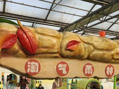 -南宫五洲植物乐园