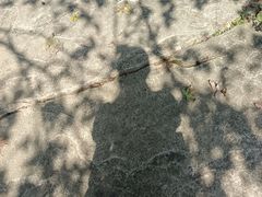 -浮山风景名胜区